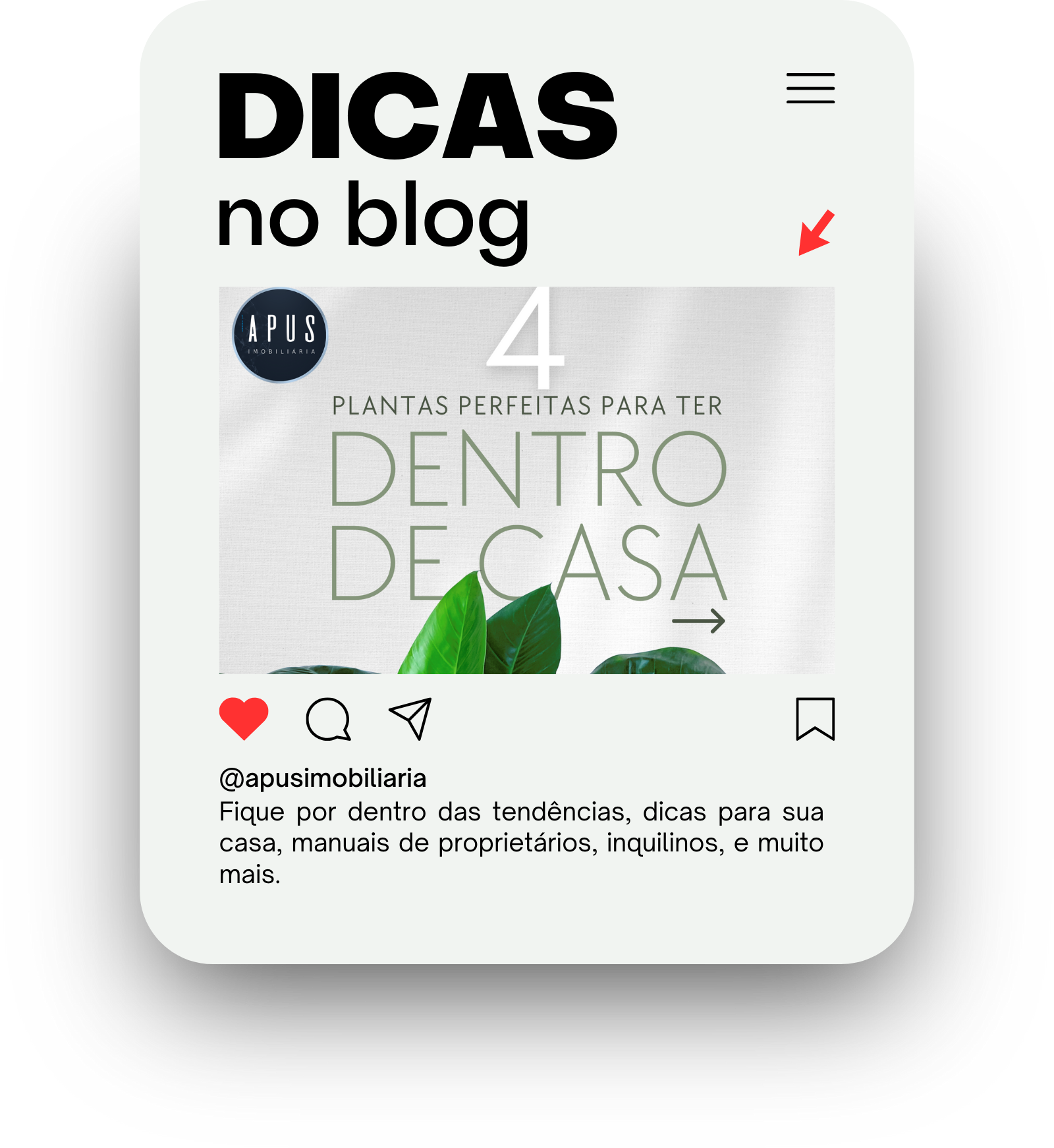 Dicas